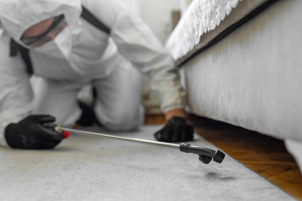 Professional Termite Control technician working in Aurora, TX